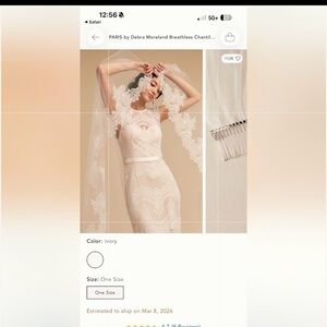 Anthropologie veil - on back order